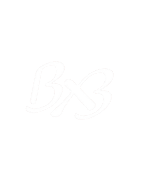 bx3world