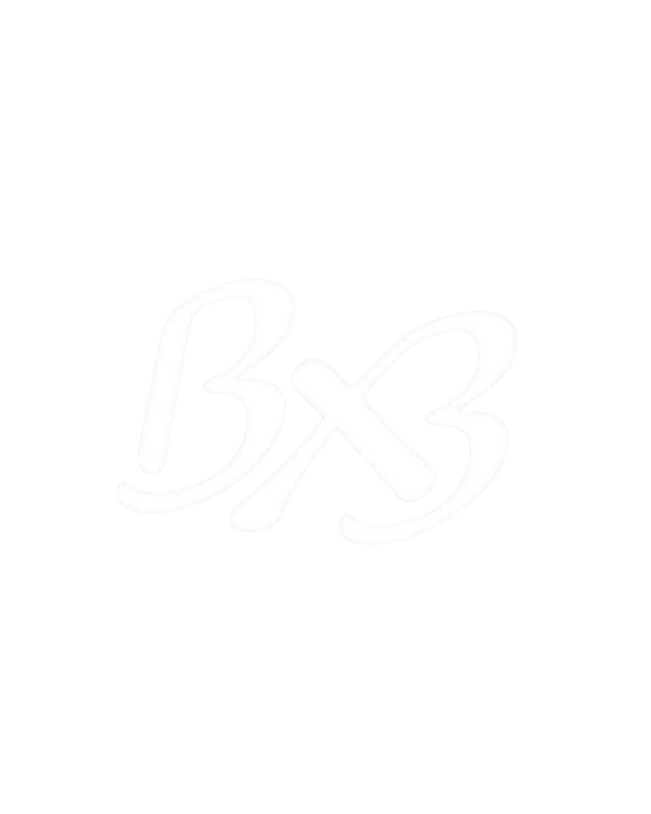 bx3world
